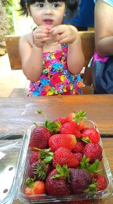 Julia at the strawberry farm